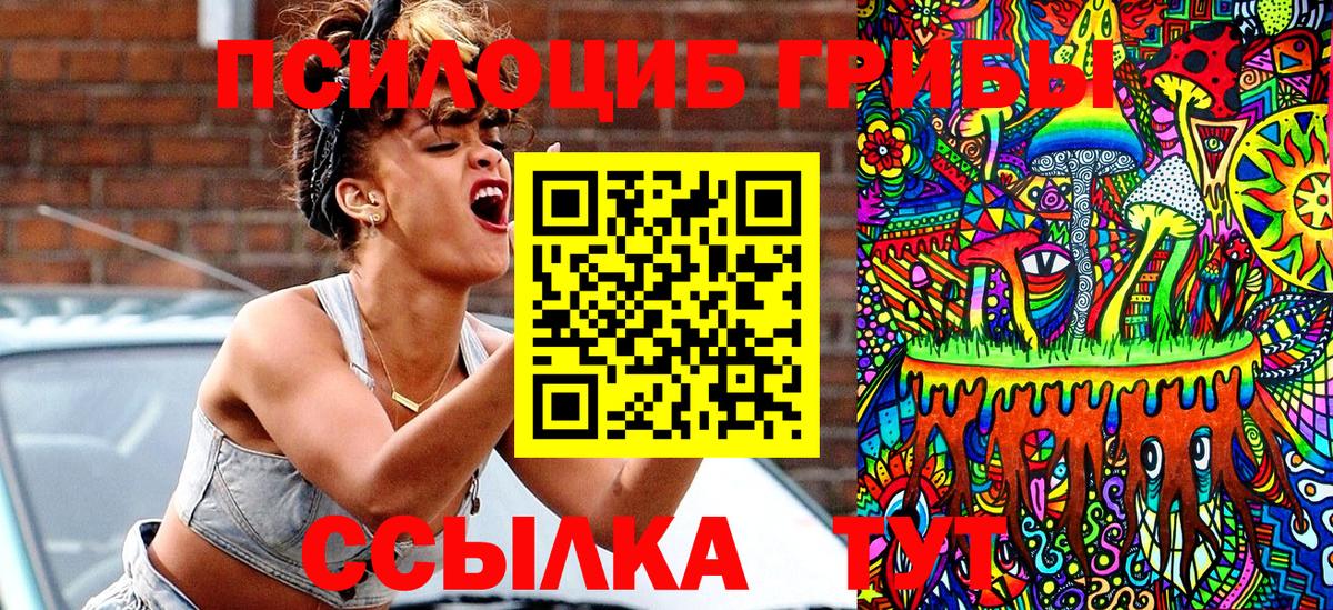 Псилоцибиновые грибы Psilocybine cubensis  Вход с VPN  Салехард 