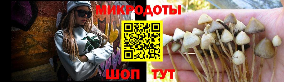 Галлюциногенные грибы прущие грибы Салехард
